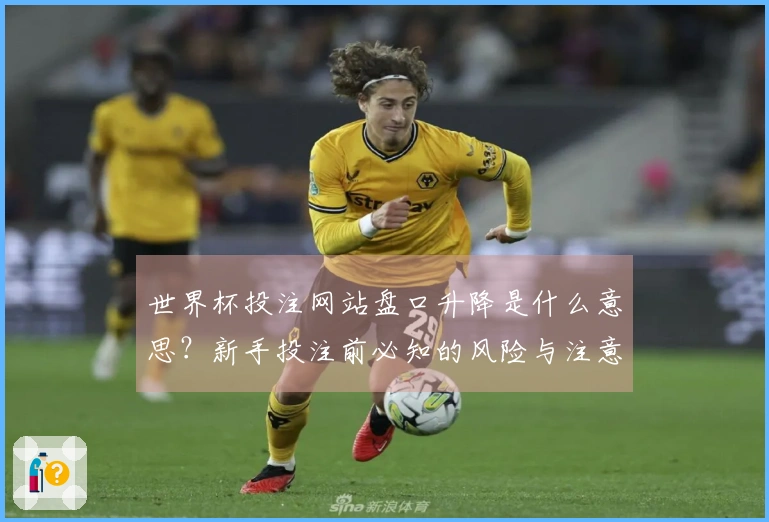 世界杯投注网站盘口升降是什么意思？新手投注前必知的风险与注意事项
