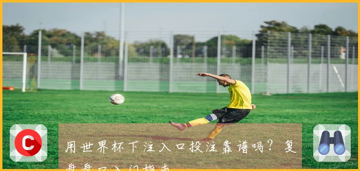 用世界杯下注入口投注靠谱吗？复盘盘口入门指南
