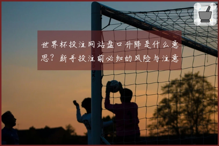 世界杯投注网站盘口升降是什么意思？新手投注前必知的风险与注意事项