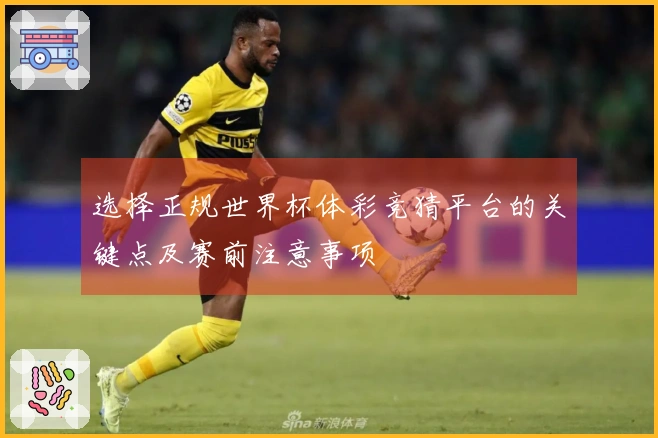 选择正规世界杯体彩竞猜平台的关键点及赛前注意事项